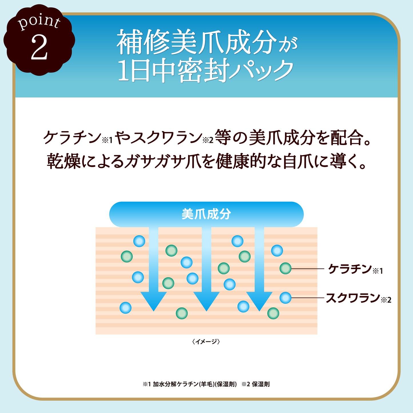 Daily Nailly（デイリーネイリー）1DAY密封ネイルケアパック