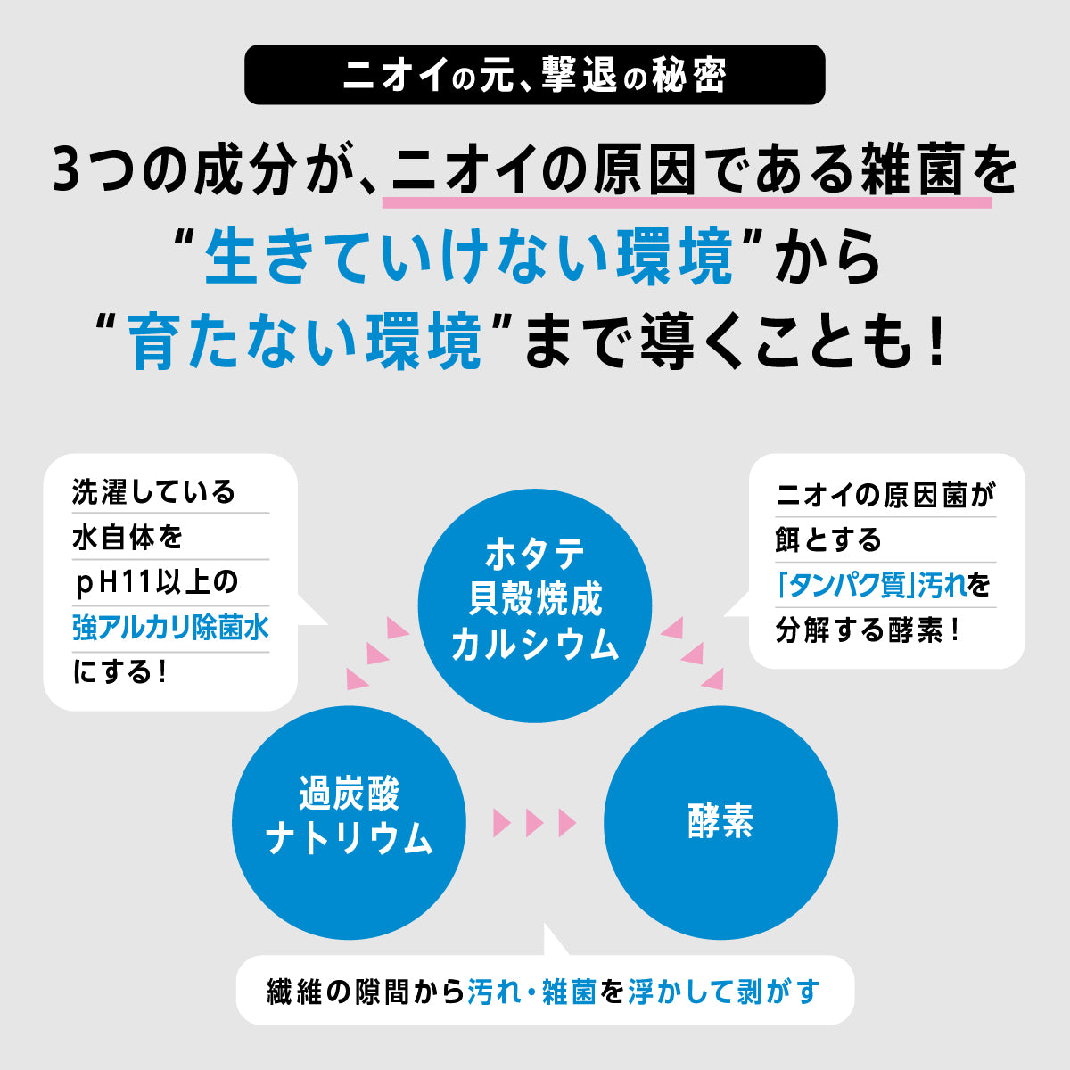 洗技 衣類のニオイ除去剤