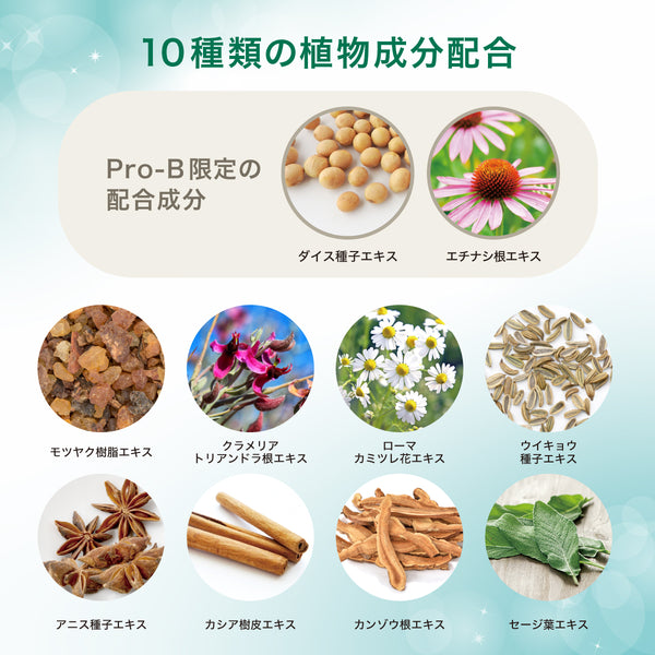 デンティスロゴ入り携帯用ミラー付 デンティス　チューブタイプ　100ｇ　Pro-B - メディア 4
