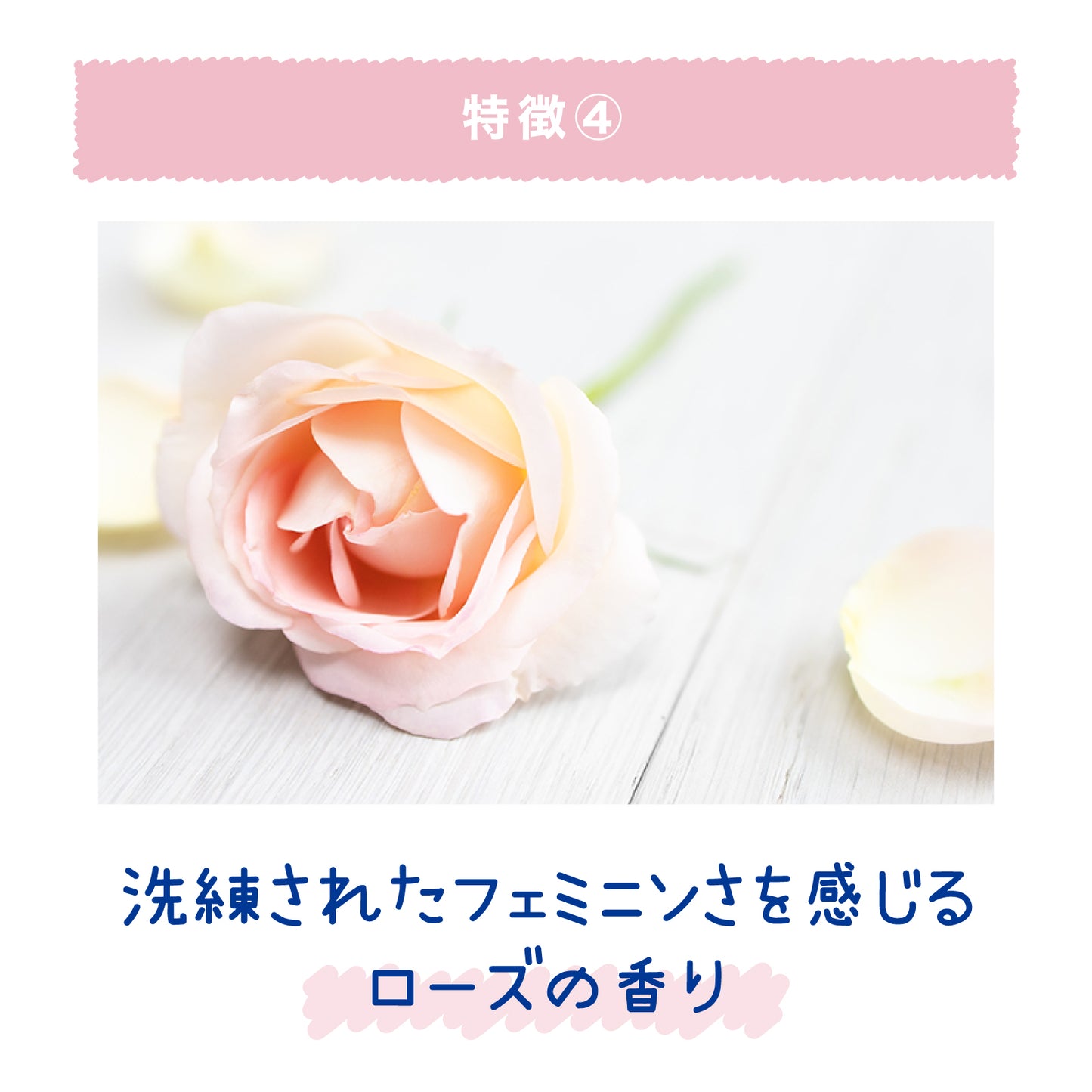 クーリスト アセダレーヌ【WEB限定 ロマンティックサマーの香り】