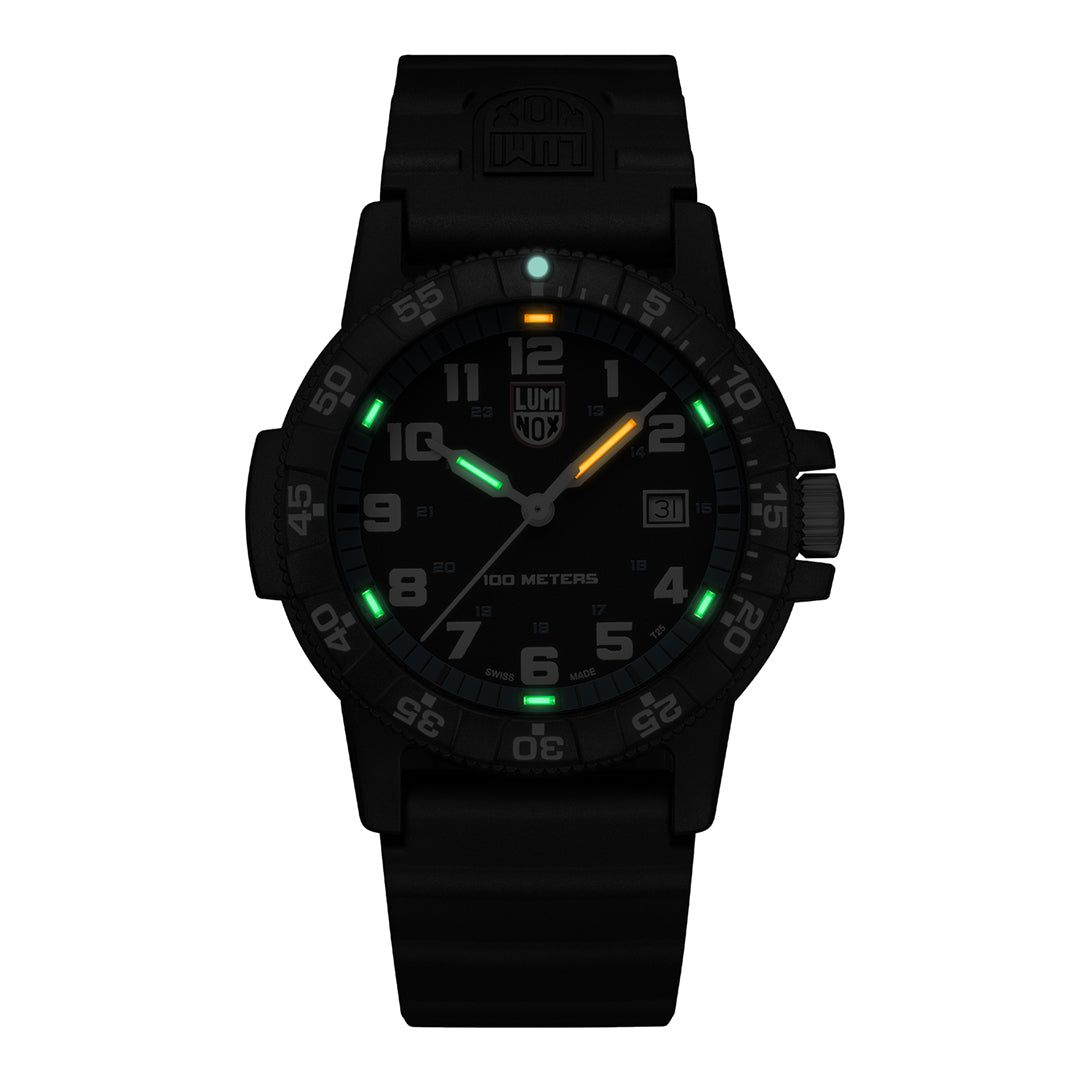 LEATHERBACK SEA TURTLE GIANT 0320 SERIES Ref.0324