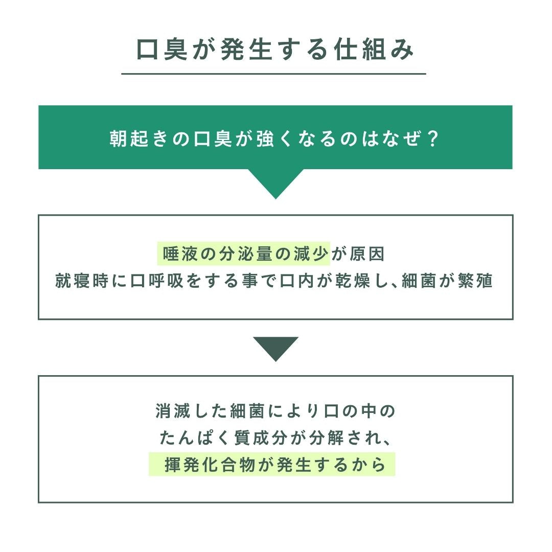 デンティス　タンクリーナー