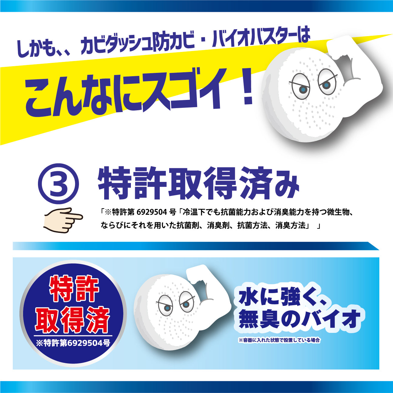 カビダッシュ【防カビ・バイオバスター】