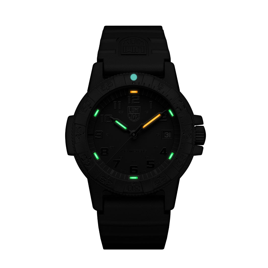 LEATHERBACK SEA TURTLE 0300 SERIES Ref.0301 BO.L