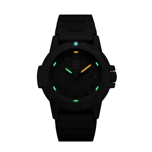LEATHERBACK SEA TURTLE 0300 SERIES Ref.0301 BO.L - メディア 2