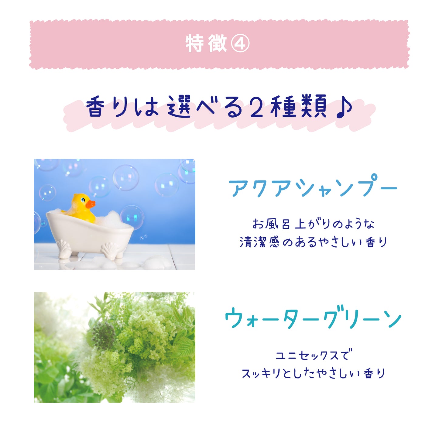 クーリスト アセダレーヌ