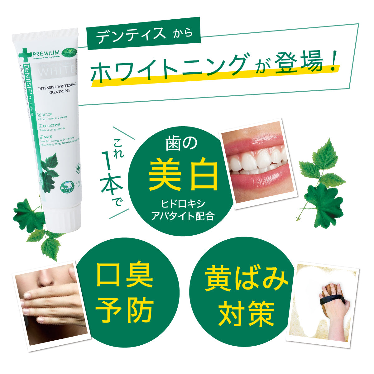 デンティスロゴ入り携帯用ミラー付 デンティス　チューブタイプ　100ｇ　ホワイトニング