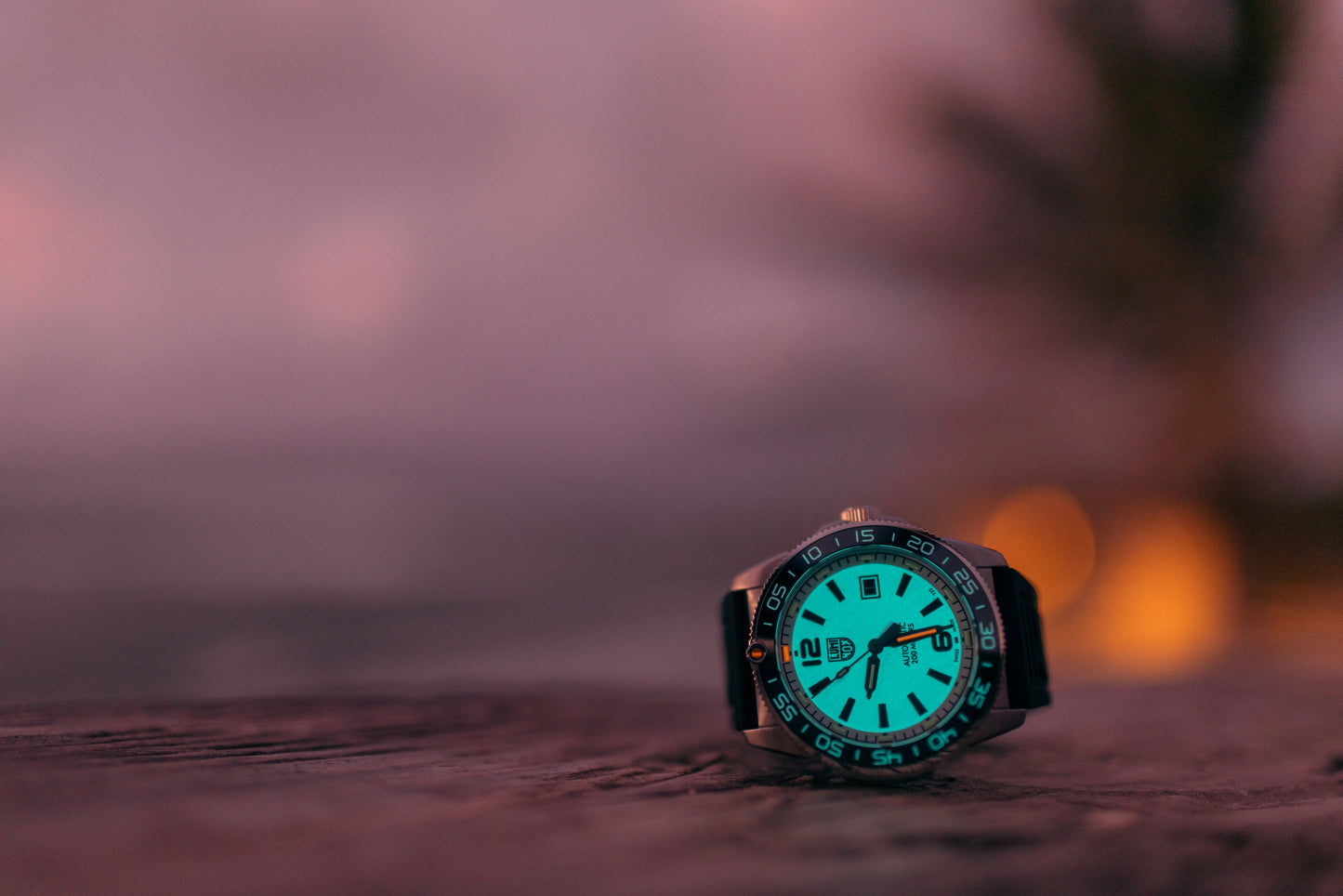 【2024年10月25日(金)発売】PACIFIC DIVER AUTOMATIC 3100 SERIES Ref.3101.HERITAGE.SET
