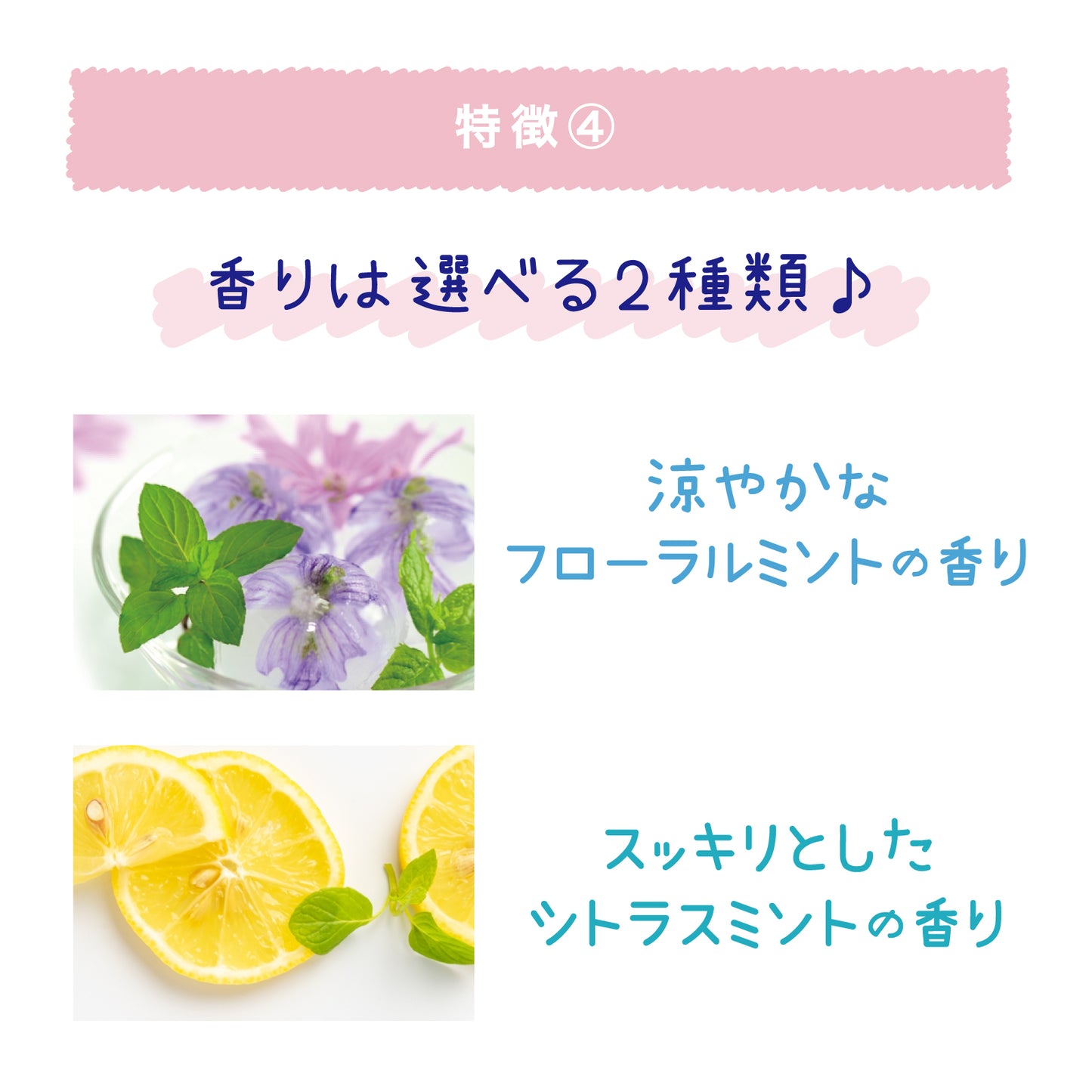クーリスト スカルプクーラー