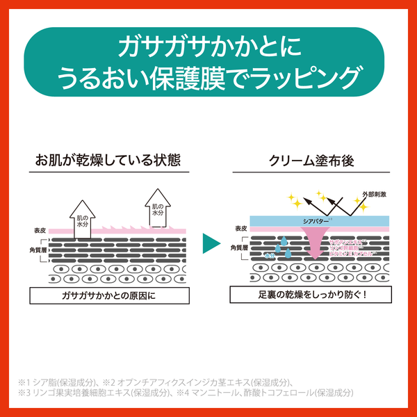 ベビーフット 角質柔軟＆保湿フットクリーム - メディア 6