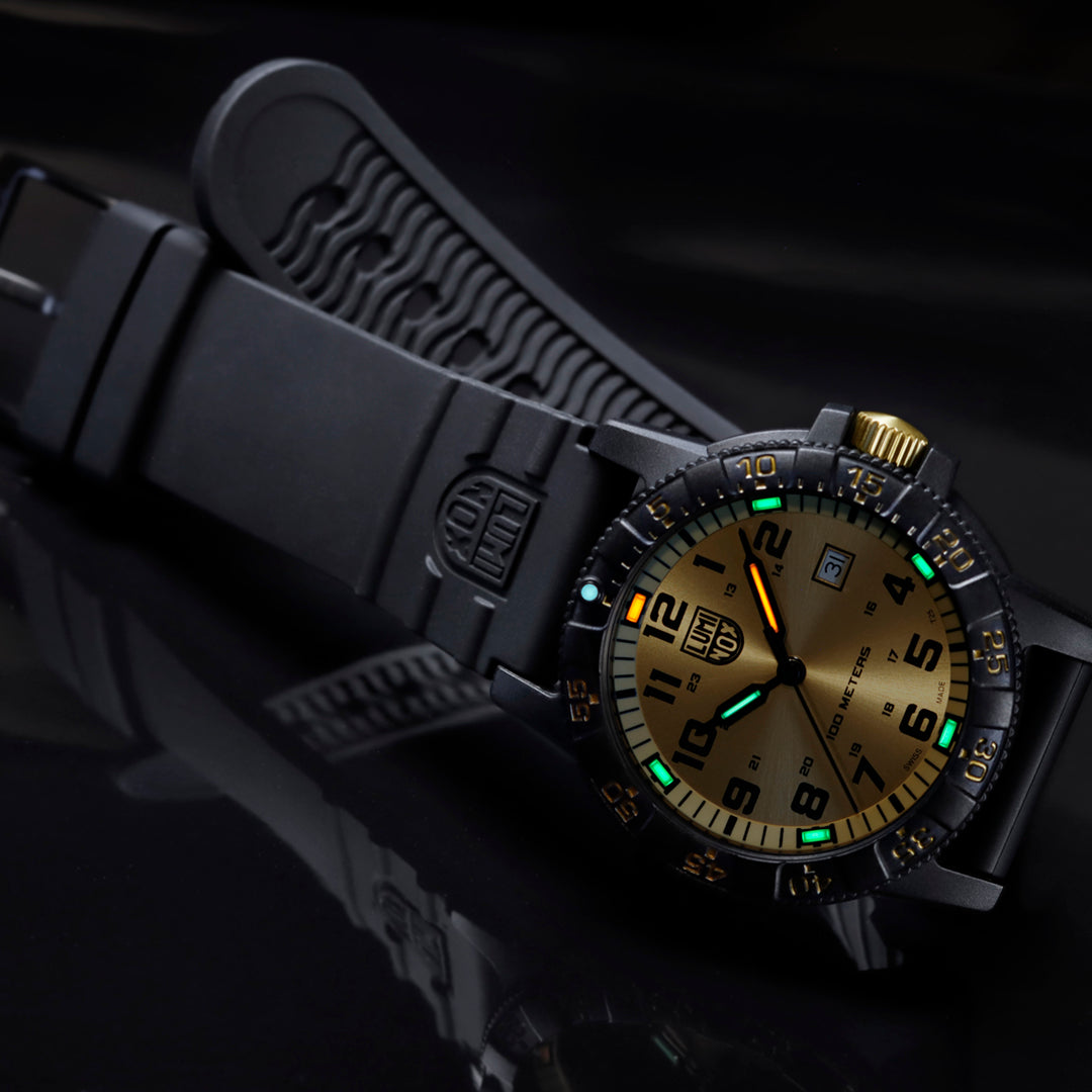 LEATHERBACK SEA TURTLE GIANT 0320 SERIES Ref.0325.GP – LIBERTA