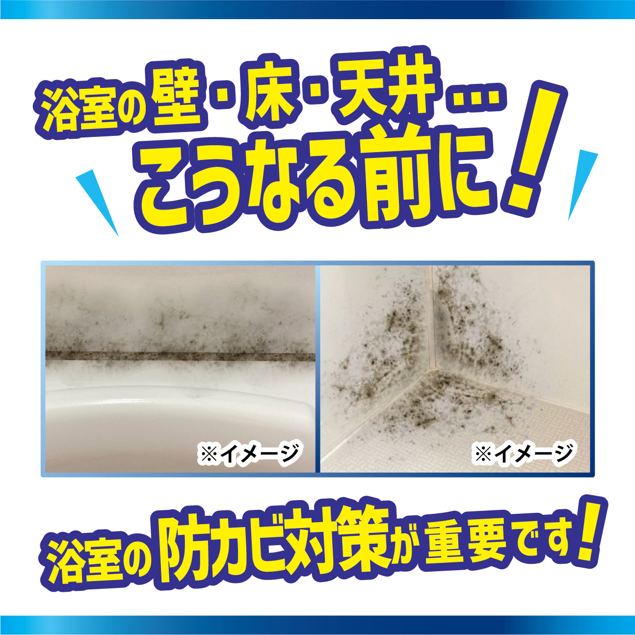カビダッシュ【防カビ・バイオバスター】