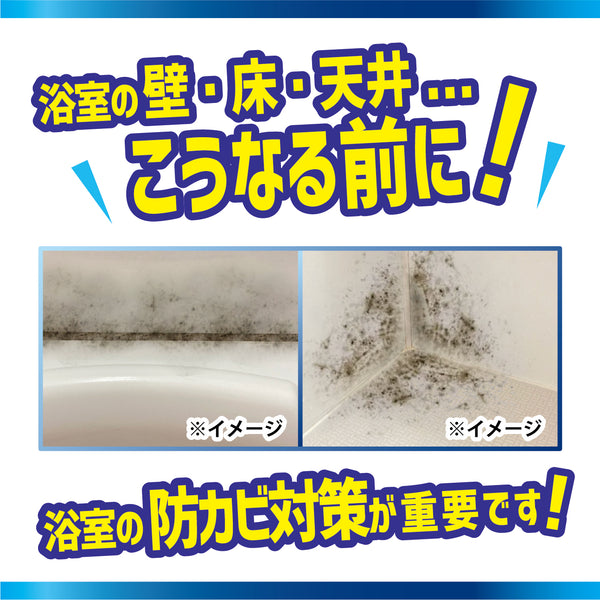 カビダッシュ【防カビ・バイオバスター】 - メディア 6