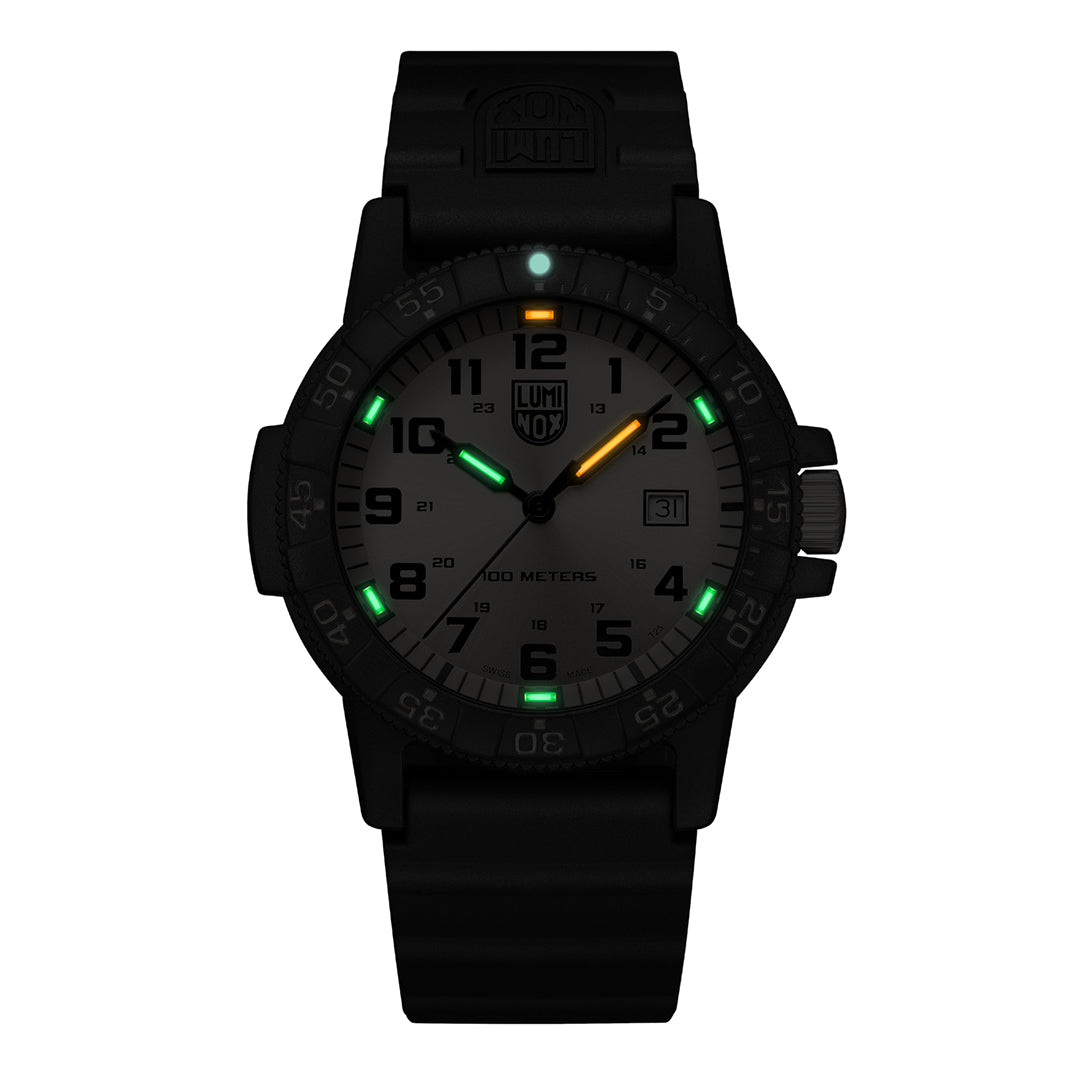 LEATHERBACK SEA TURTLE GIANT 0320 SERIES Ref.0325.GP – LIBERTA