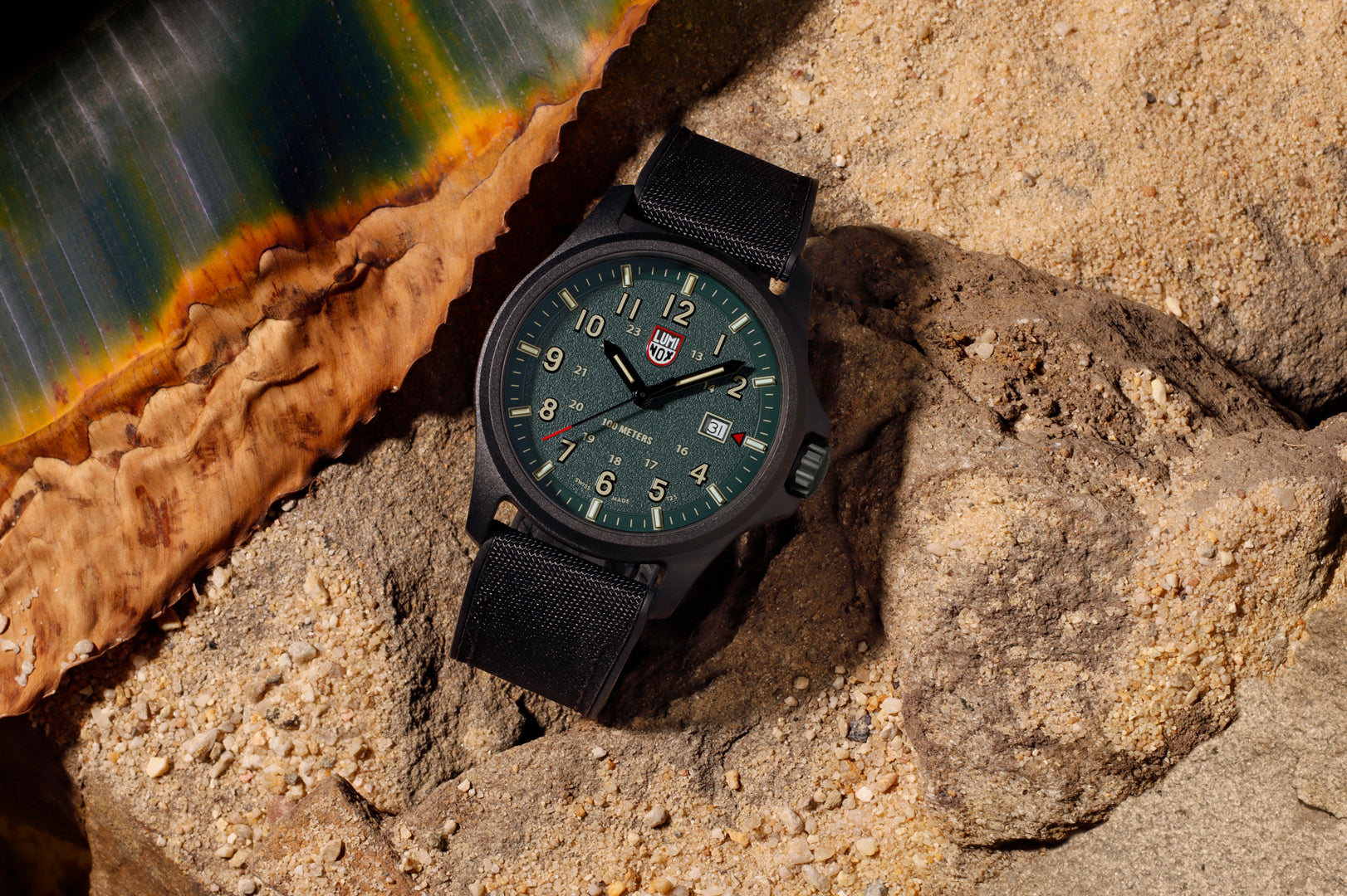 ATACAMA FIELD 1960 SERIES Ref.1977 – LIBERTA ONLINE STORE