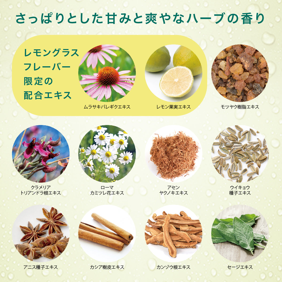 【日本限定フレーバー】デンティス レモングラス チューブタイプ 100g
