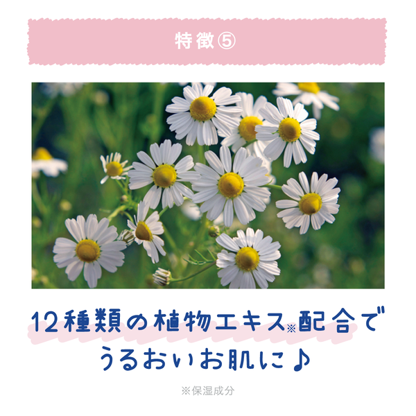 クーリスト アセダレーヌ - メディア 8