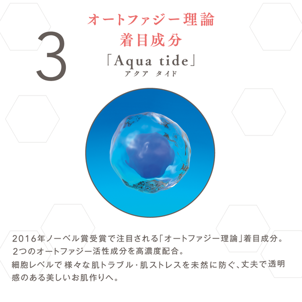 be-10 プレミアム BC アイシート 90ml/60枚入 – LIBERTA ONLINE STORE