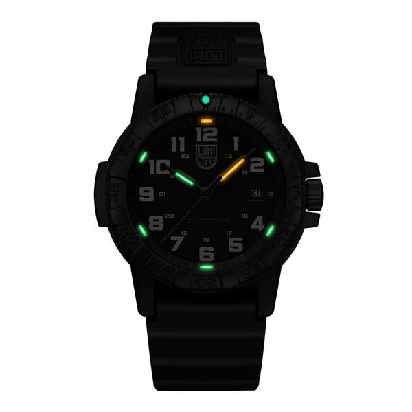 LEATHERBACK SEA TURTLE GIANT 0320 SERIES Ref.0330 - メディア 2