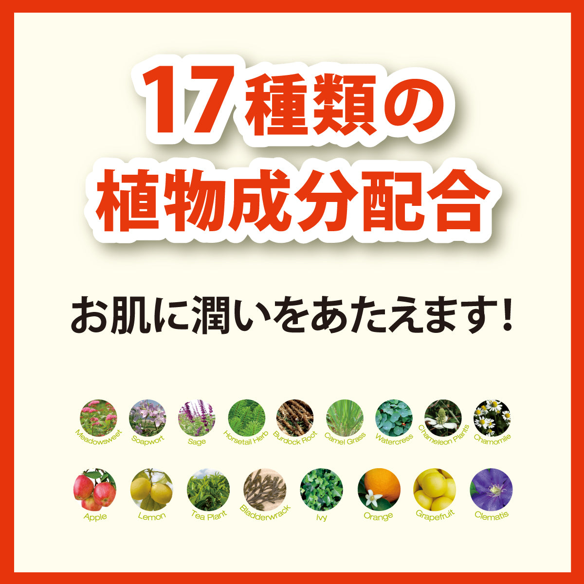 【送料無料】ベビーフットイージーパック（30分/60分）