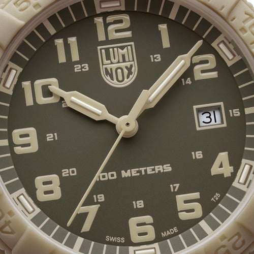 LEATHERBACK SEA TURTLE GIANT 0320 SERIES Ref.0326 – LIBERTA ONLINE