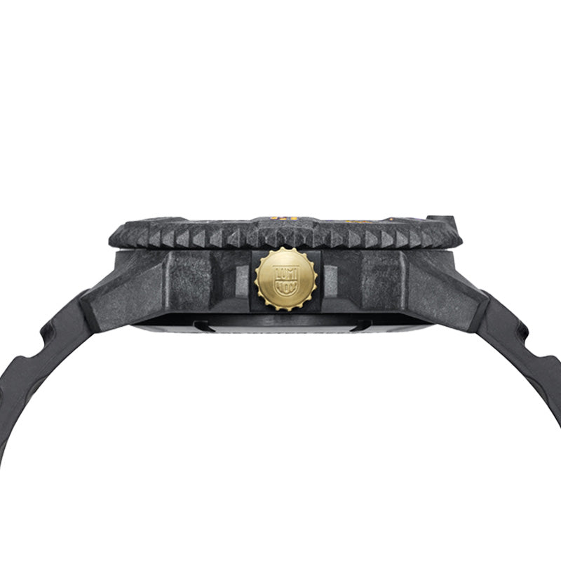 【LIMITED】MASTER CARBON SEAL 3800 SERIES Ref.3805.DRAGON LIMITED