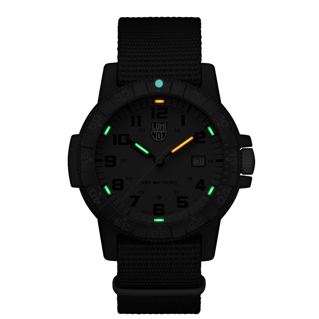 LEATHERBACK SEA TURTLE GIANT 0320 SERIES Ref.0337 – LIBERTA ONLINE