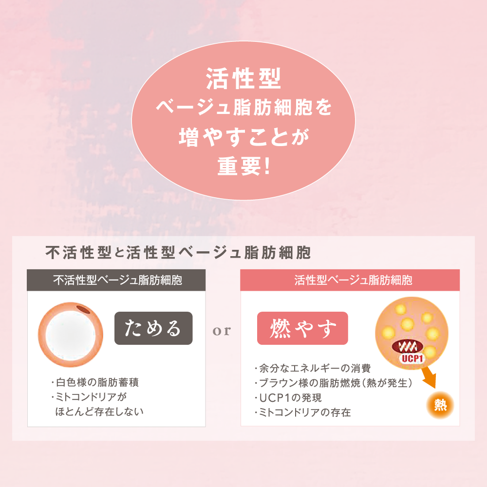 be-10 メソボディ&レッグクリーム 150g