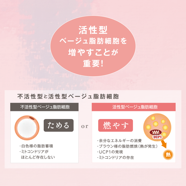 be-10 メソボディ&レッグクリーム 150g - メディア 5