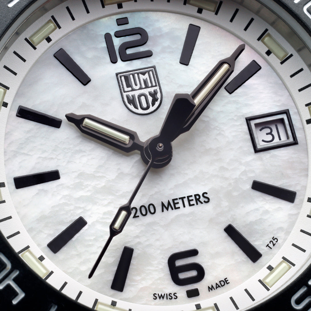PACIFIC DIVER 3120M SERIES Ref.3126M – LIBERTA ONLINE STORE