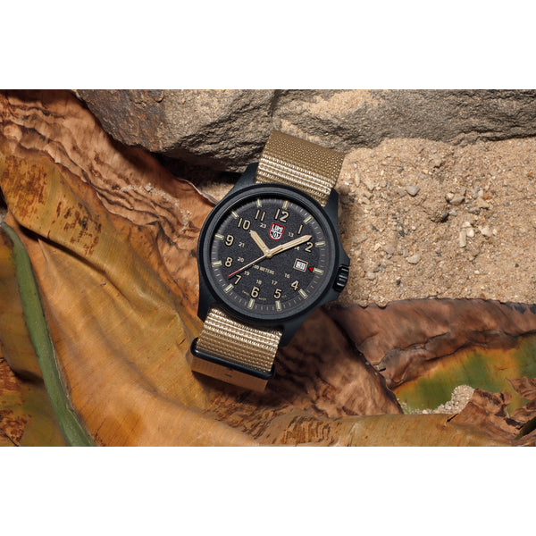 ATACAMA FIELD 1960 SERIES Ref.1970.SET - メディア 8