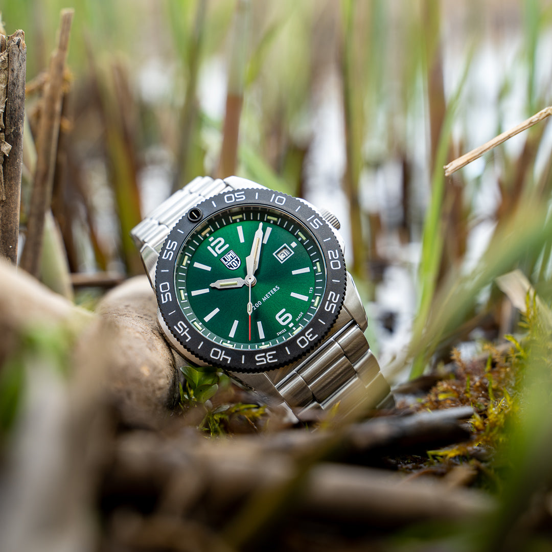 PACIFIC DIVER 3120 SERIES Ref.3137 – LIBERTA ONLINE STORE