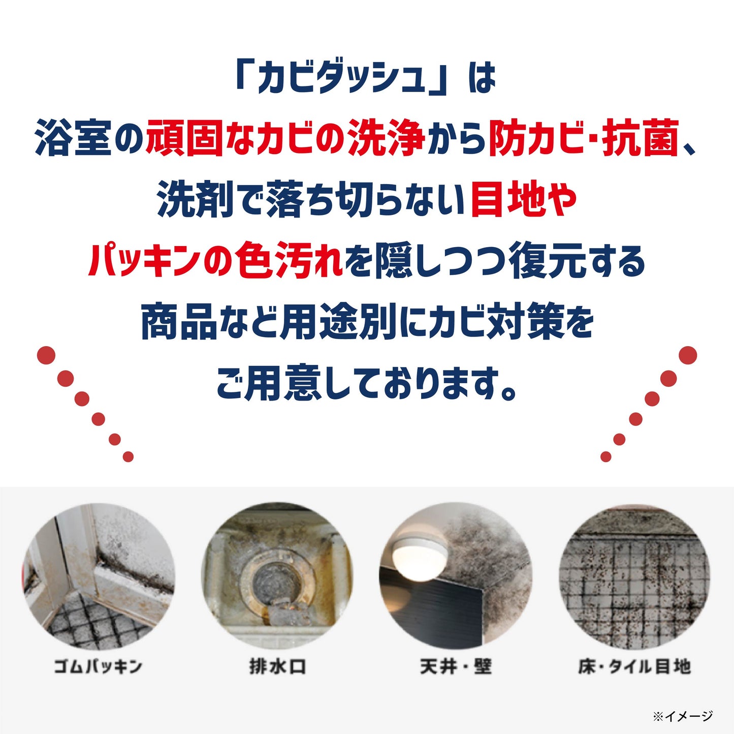 カビダッシュ 防カビ・リカバリーマジック