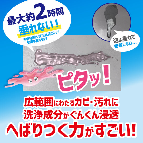 カビダッシュ 壁ピタッ！ゲルスプレー - メディア 11