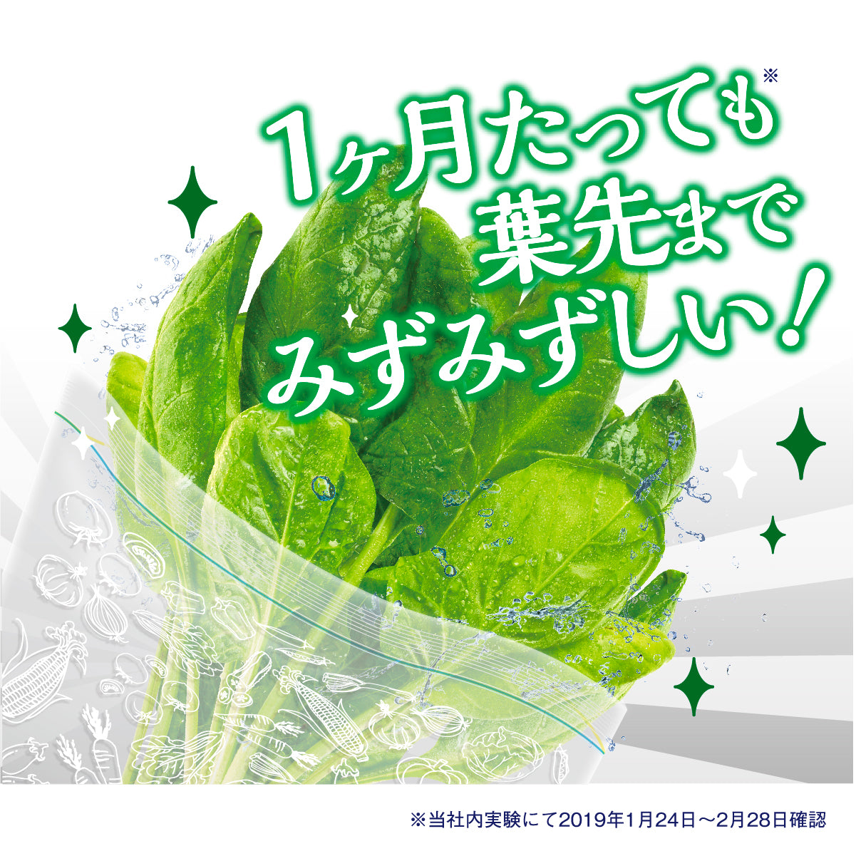 ママラクリーン 鮮度キーパー