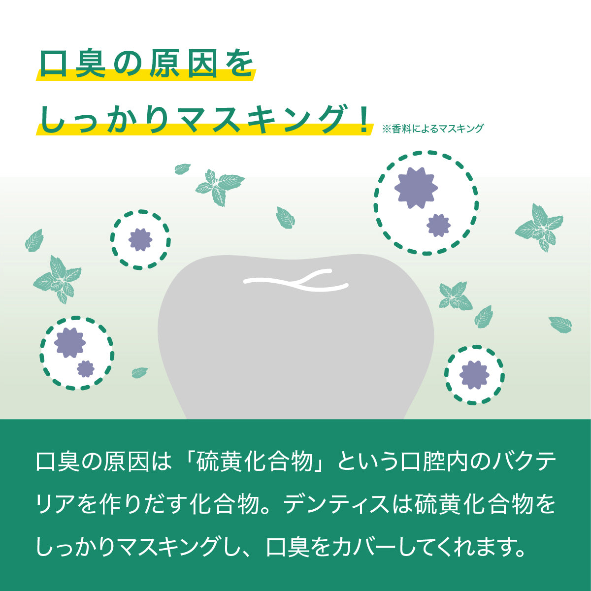 デンティスロゴ入り携帯用ミラー付 デンティス　チューブタイプ　100ｇ　ホワイトニング