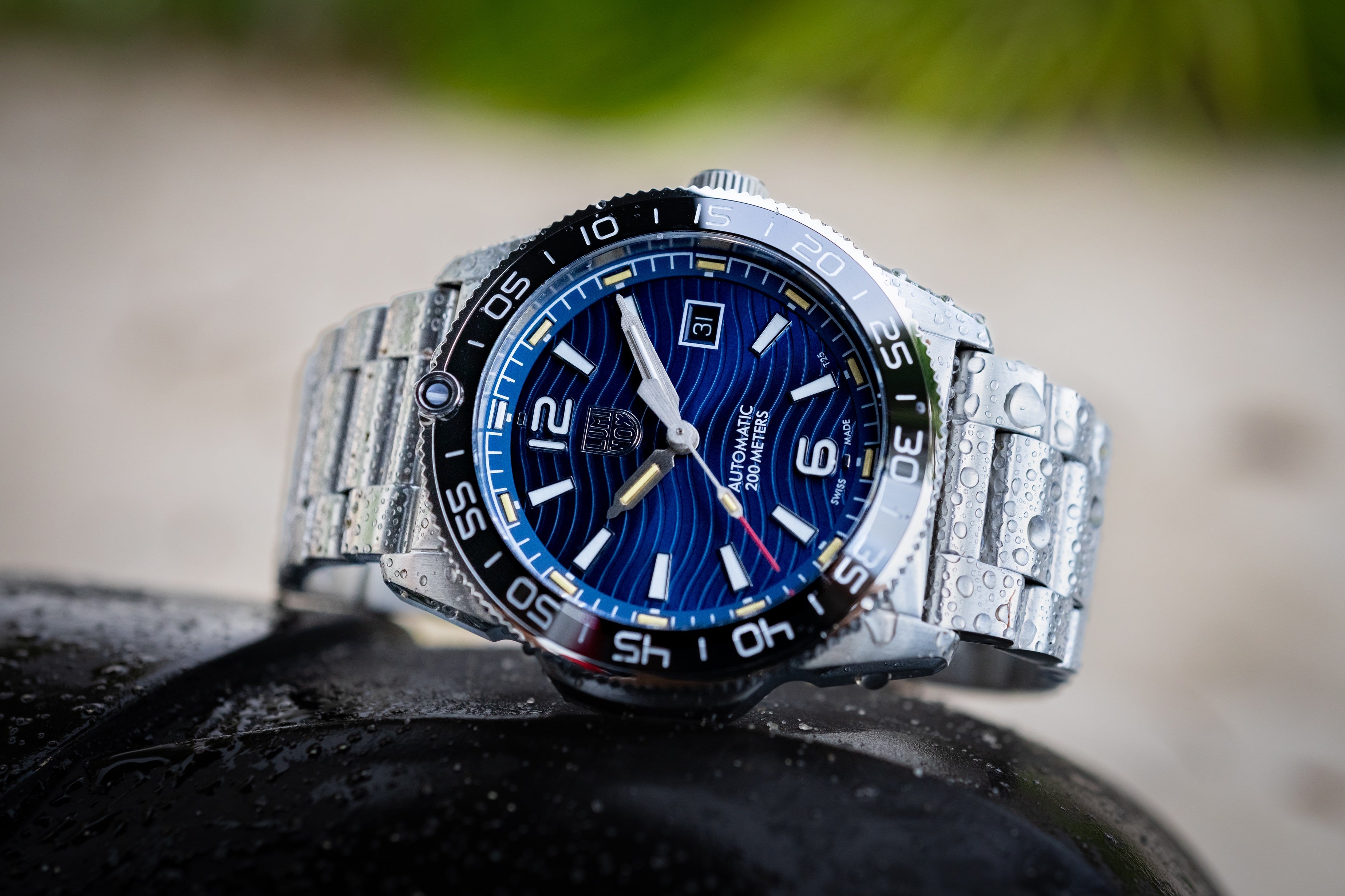 2024年11月1日(金)発売】PACIFIC DIVER AUTOMATIC 3100 SERIES Ref
