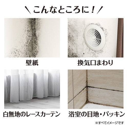 カビトルネード 室内壁用カビ取りスプレー