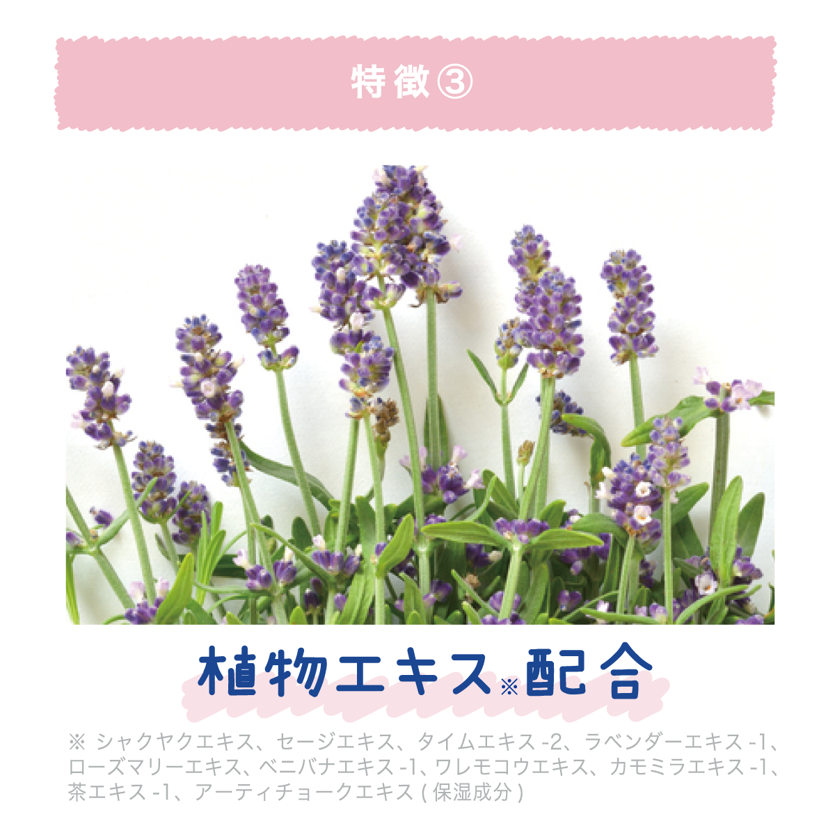 クーリスト セナッシュ