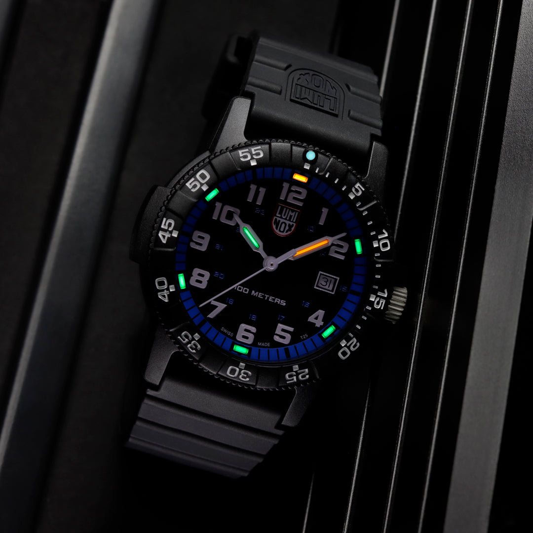 LEATHERBACK SEA TURTLE GIANT 0320 SERIES Ref.0324 – LIBERTA ONLINE