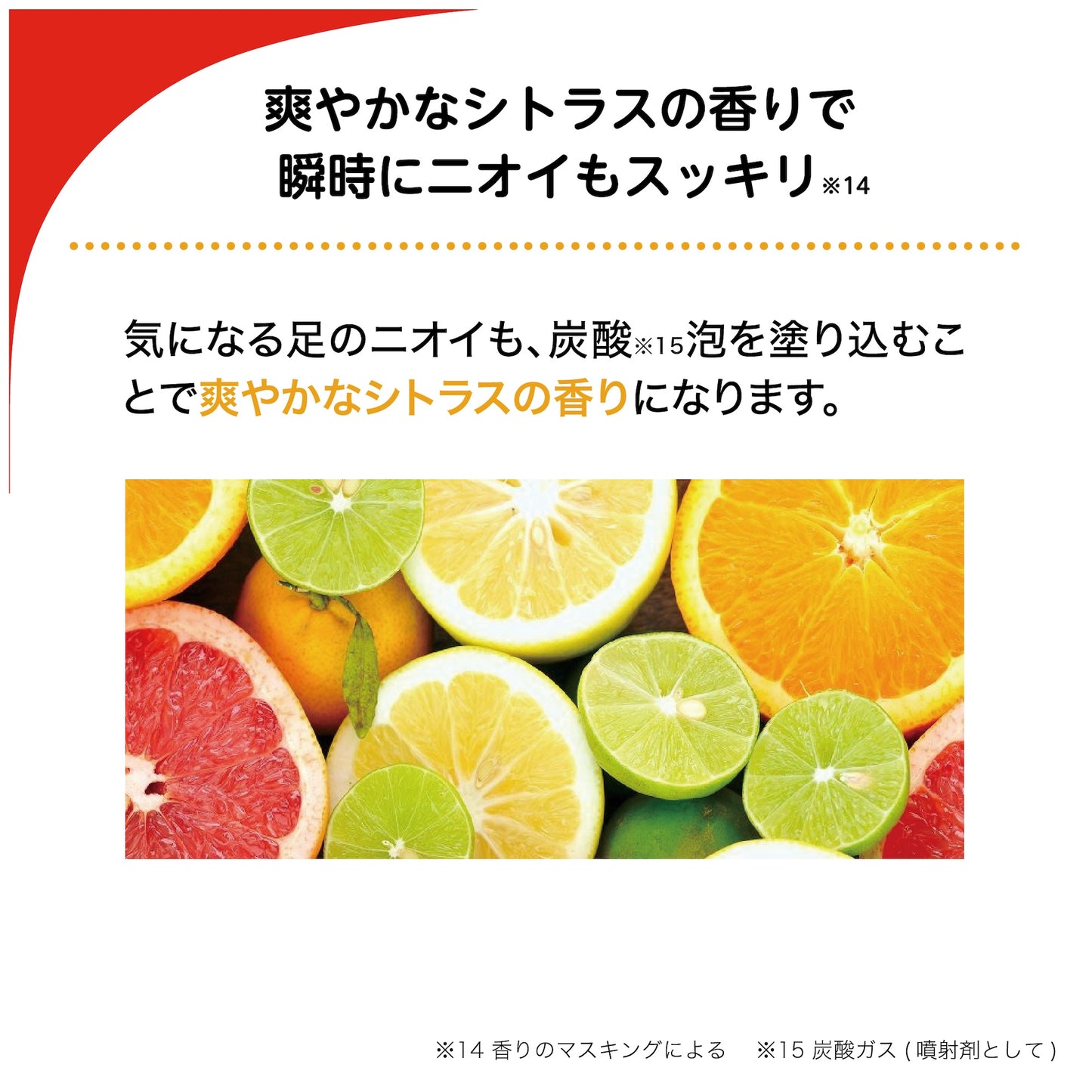 ベビーフット 炭酸泡フットドライシャンプー
