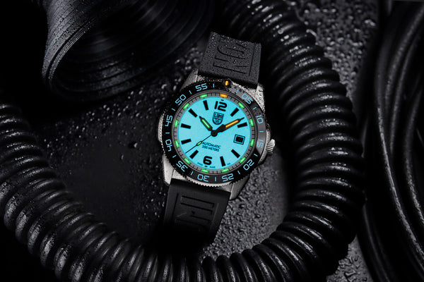 【2024年10月25日(金)発売】PACIFIC DIVER AUTOMATIC 3100 SERIES Ref.3101.HERITAGE.SET - メディア 5