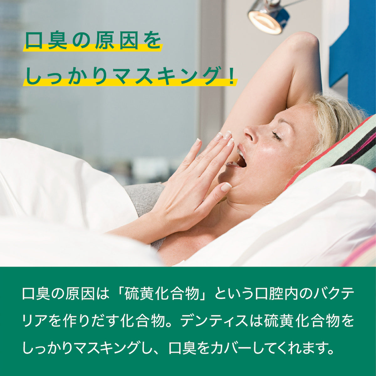 デンティスロゴ入り携帯用ミラー付 デンティス　チューブタイプ　100ｇ　Pro-B