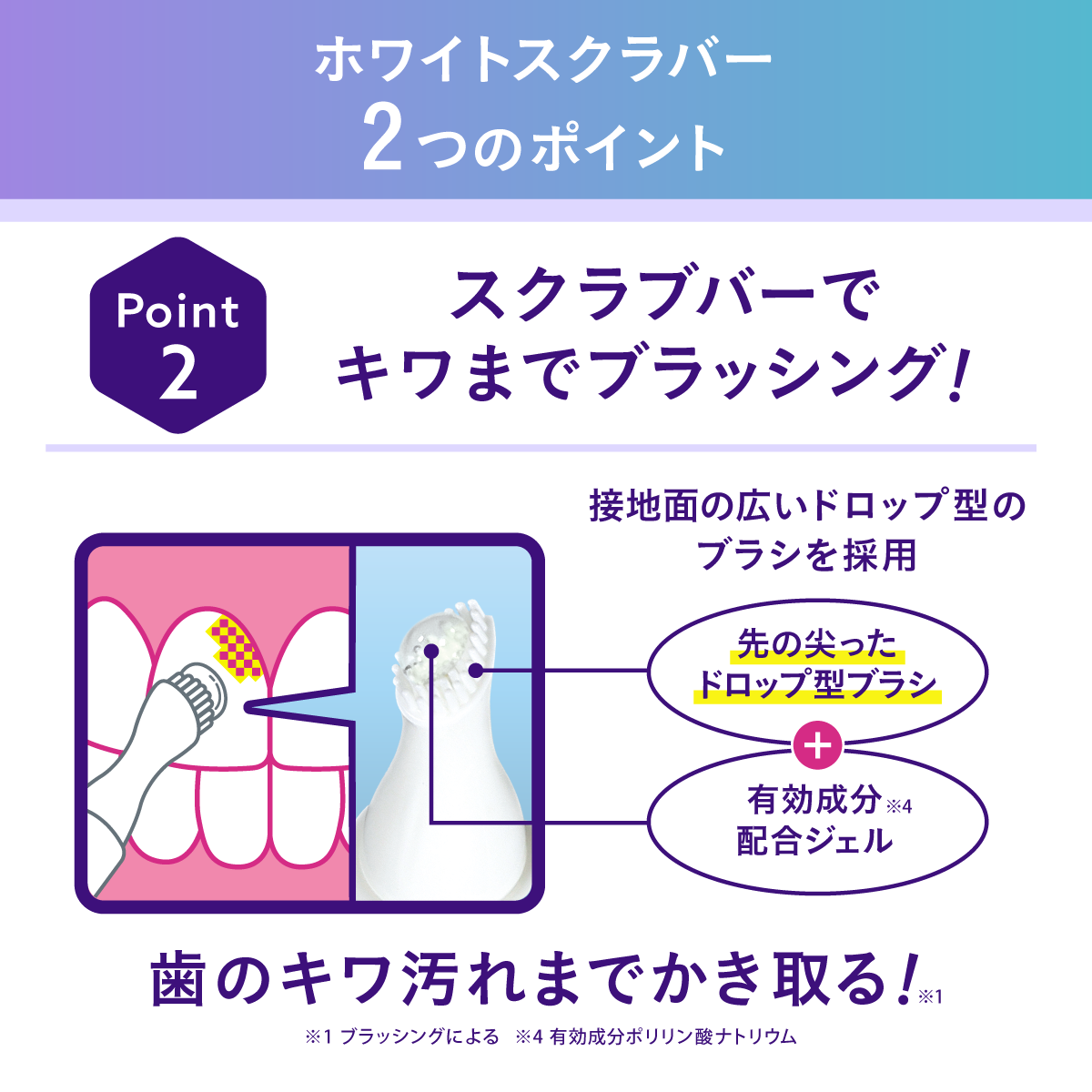 マウスマネージャー ホワイトスクラバー