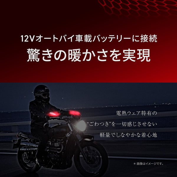 Heat Master 12Vヒートレザーグローブ LTシリーズ TYPE-1 LIDEF - メディア 3