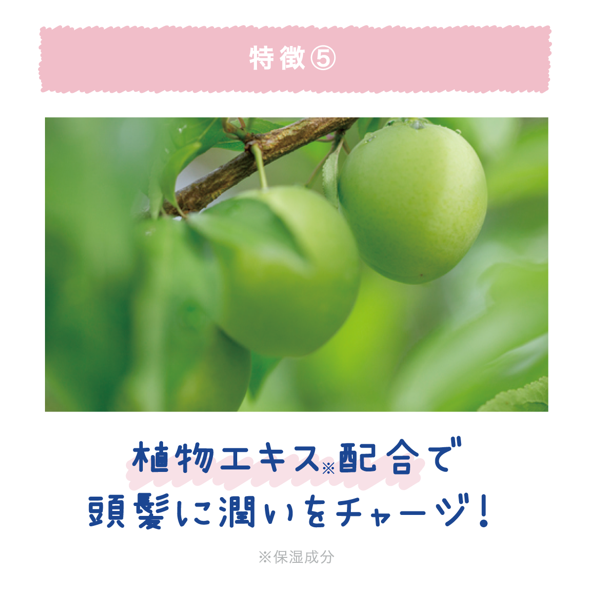 クーリスト スカルプクーラー
