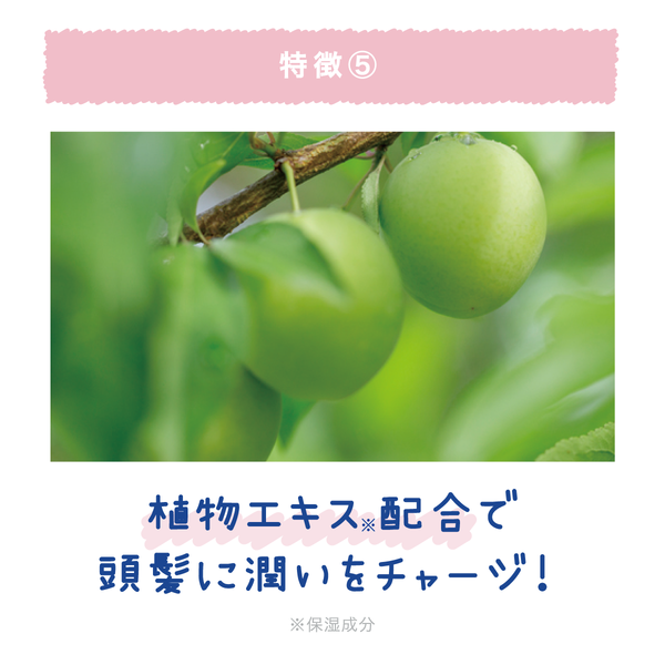 クーリスト スカルプクーラー - メディア 10