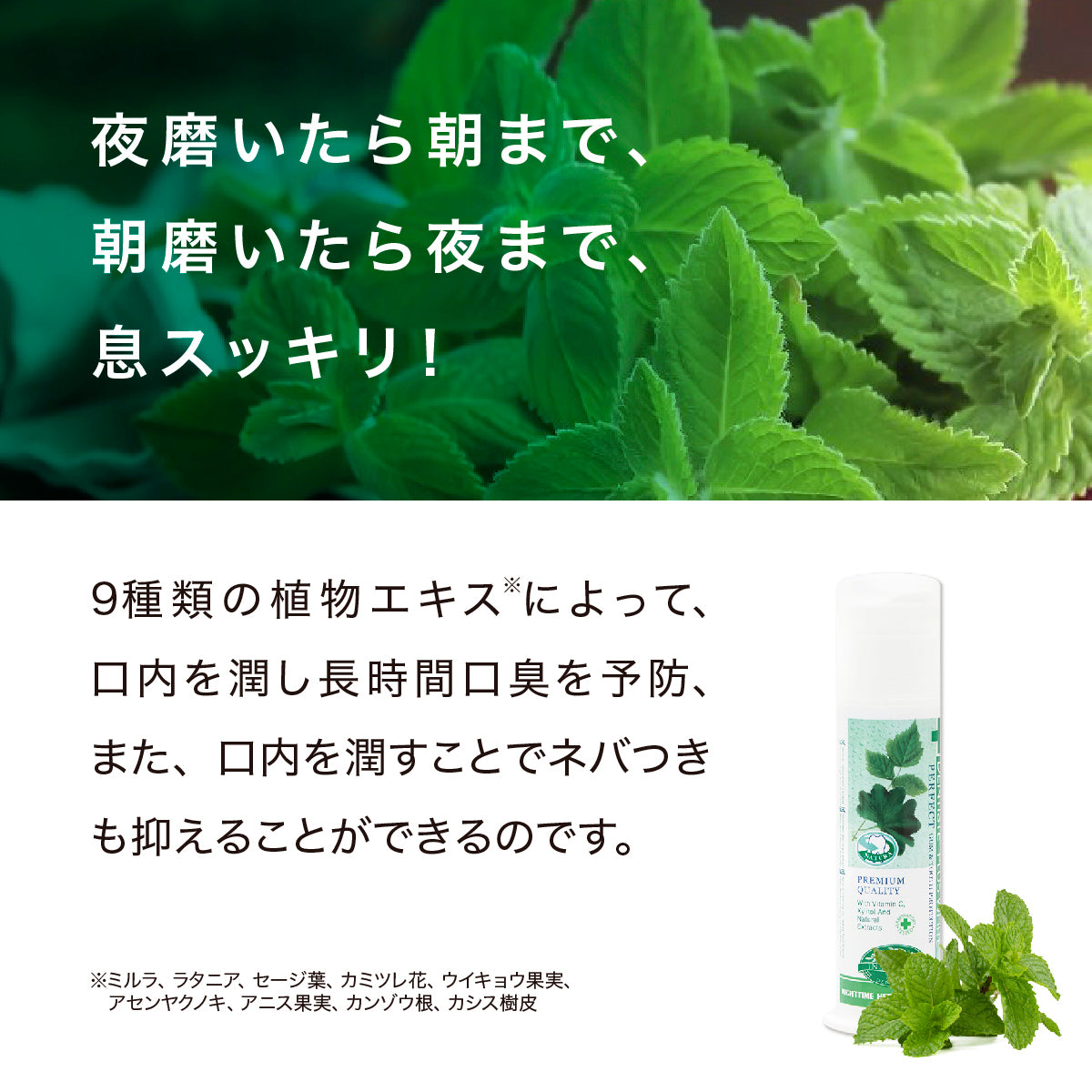 デンティス　ポンプタイプ　120g
